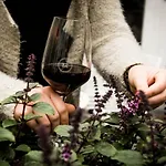 Fitz Roy Urban Hotel, Bar And Garden