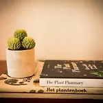 Fitz Roy Urban Hotel, Bar And Garden Ξενοδοχείο 4*