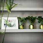 Fitz Roy Urban Hotel, Bar And Garden Ξενοδοχείο 4*