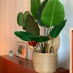 Fitz Roy Urban Hotel, Bar And Garden 4*