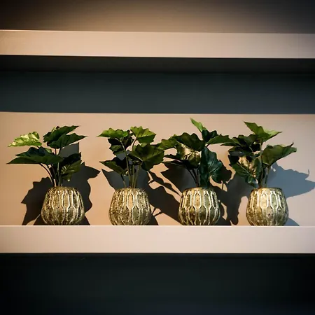 호텔 Fitz Roy Urban Hotel, Bar And Garden 마스트리흐트