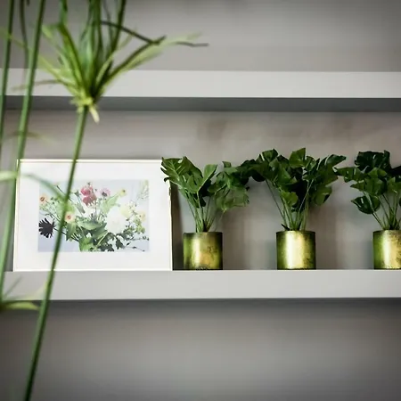 Fitz Roy Urban Hotel, Bar And Garden 酒店 4*