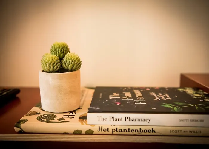 Fitz Roy Urban Hotel, Bar And Garden Hotel 4*