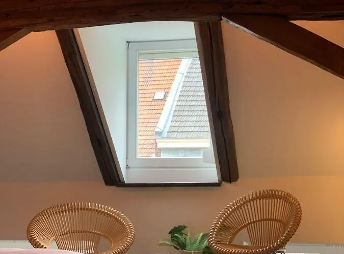 Fitz Roy Urban Hotel, Bar And Garden Hotel 4*