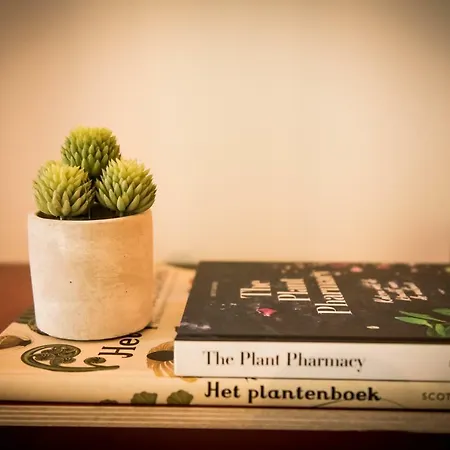 Fitz Roy Urban Hotel, Bar And Garden מלון 4*