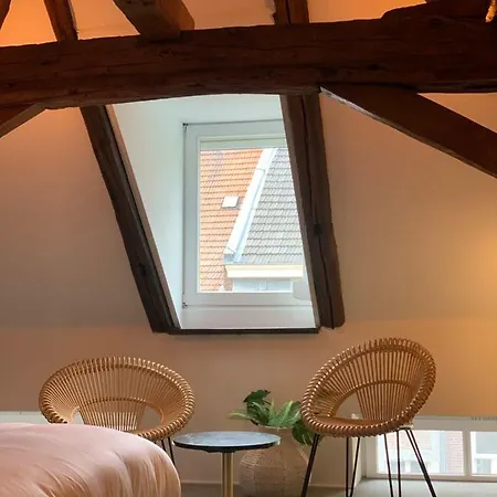 Fitz Roy Urban Hotel, Bar And Garden מלון 4*