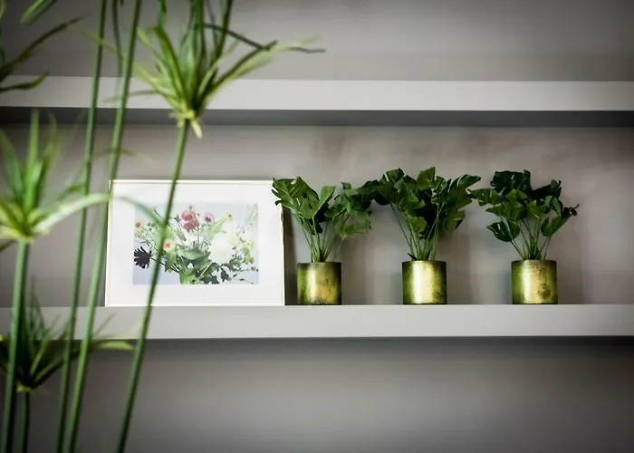 Fitz Roy Urban Hotel, Bar And Garden Hotel 4*